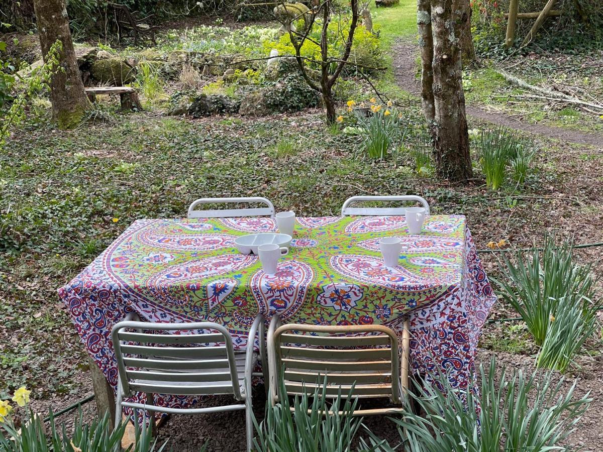 Retro Private Lodge With Hot Tub Nr Dartmoor Newton Abbot Εξωτερικό φωτογραφία