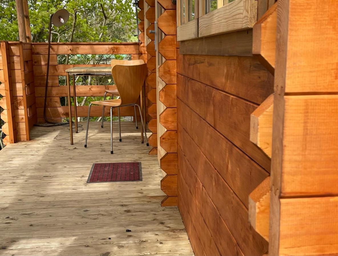 Retro Private Lodge With Hot Tub Nr Dartmoor Newton Abbot Εξωτερικό φωτογραφία