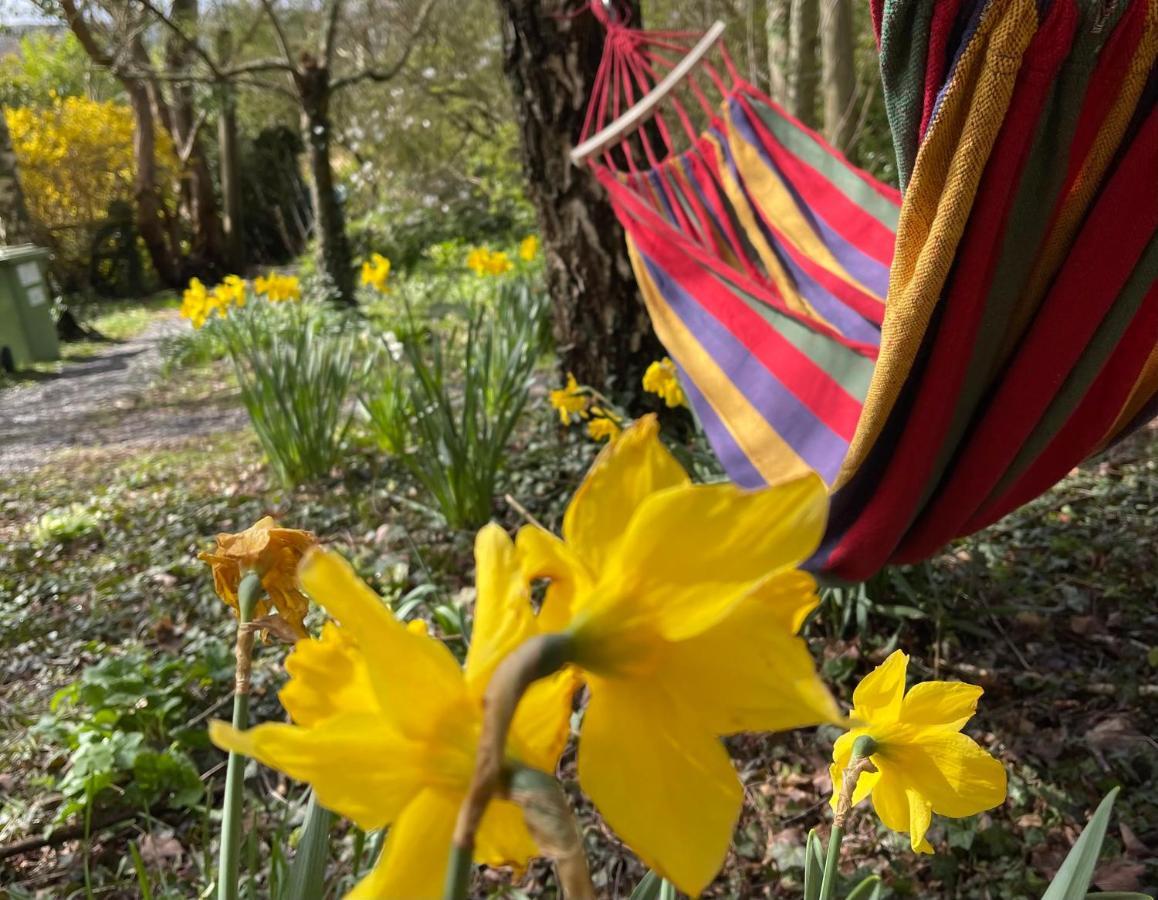 Retro Private Lodge With Hot Tub Nr Dartmoor Newton Abbot Εξωτερικό φωτογραφία