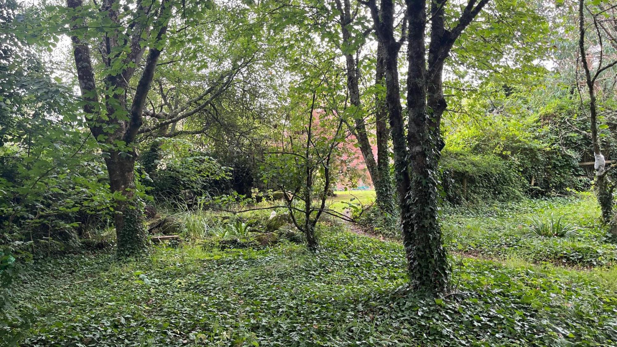 Retro Private Lodge With Hot Tub Nr Dartmoor Newton Abbot Εξωτερικό φωτογραφία